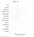 Fig. 20 - METHOD FOR TREATING ANTIBODY-MEDIATED REJECTION POST-TRANSPLANTATION