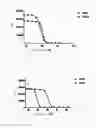 Fig. 05 - Construction and application of bispecific antibody HER2xCD3