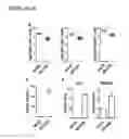 Fig. 06 - Depletion of plasmacytoid dendritic cells