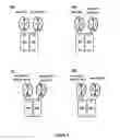 Fig. 04 - Anti-FGFR1c antibody-FGF21 fusion proteins