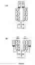 Fig. 06 - Anti-FGFR1c antibody-FGF21 fusion proteins