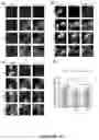 Fig. 07 - pH-dependent antibodies targeting the transferrin receptor and methods of use thereof to deliver a therapeutic agent