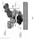 Fig. 04 - Anti-HER2 antibodies and immunoconjugates