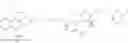 Fig. 115 - Anti-HER2 antibodies and immunoconjugates