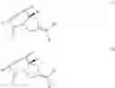 Fig. 31 - Anti-HER2 antibodies and immunoconjugates