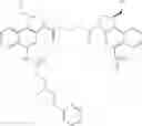 Fig. 65 - Anti-HER2 antibodies and immunoconjugates
