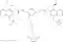Fig. 81 - Anti-HER2 antibodies and immunoconjugates