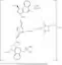 Fig. 97 - Anti-HER2 antibodies and immunoconjugates