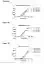 Fig. 04 - Single-Arm Monovalent Antibody Constructs and Uses Thereof