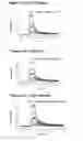 Fig. 12 - Single-Arm Monovalent Antibody Constructs and Uses Thereof