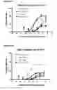 Fig. 31 - Single-Arm Monovalent Antibody Constructs and Uses Thereof