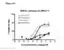 Fig. 32 - Single-Arm Monovalent Antibody Constructs and Uses Thereof