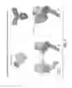 Fig. 07 - COMPOSITION COMPRISING ANTIBODY THAT BINDS TO DOMAIN II OF HER2 AND ACIDIC VARIANTS THEREOF