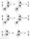 Fig. 02 - BISPECIFIC T CELL ACTIVATING ANTIGEN BINDING MOLECULES