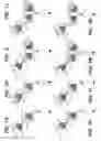 Fig. 03 - BISPECIFIC T CELL ACTIVATING ANTIGEN BINDING MOLECULES