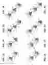 Fig. 04 - BISPECIFIC T CELL ACTIVATING ANTIGEN BINDING MOLECULES