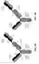 Fig. 06 - BISPECIFIC T CELL ACTIVATING ANTIGEN BINDING MOLECULES