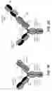 Fig. 09 - BISPECIFIC T CELL ACTIVATING ANTIGEN BINDING MOLECULES