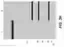 Fig. 15 - BISPECIFIC T CELL ACTIVATING ANTIGEN BINDING MOLECULES