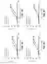 Fig. 23 - BISPECIFIC T CELL ACTIVATING ANTIGEN BINDING MOLECULES