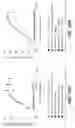 Fig. 34 - BISPECIFIC T CELL ACTIVATING ANTIGEN BINDING MOLECULES
