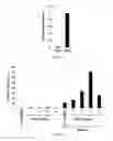 Fig. 18 - TIKI INHIBITORS