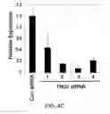 Fig. 19 - TIKI INHIBITORS