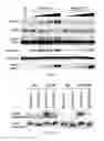Fig. 23 - TIKI INHIBITORS