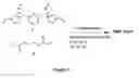 Fig. 04 - Crosslinked polymers prepared from functional monomers having imidazolium, pyridinium, aryl-substituted urea or aryl-substituted thiourea groups and uses thereof
