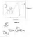 Fig. 03 - SYSTEMS AND METHODS FOR PRODUCTION OF ARTIFICIAL EUMELANIN