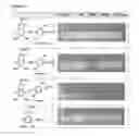 Fig. 09 - SYSTEMS AND METHODS FOR PRODUCTION OF ARTIFICIAL EUMELANIN