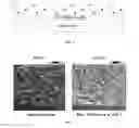 Fig. 02 - Polyamide resin composition with high heat resistance and oxidation resistance