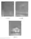 Fig. 04 - Elastomeric and viscoelastic materials formed from poly(acrylic acid) gels