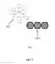 Fig. 03 - Photostable fluorescent polymeric tandem dyes including luminescent metal complexes