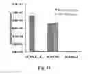 Fig. 12 - Marine coatings