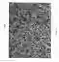 Fig. 05 - Encapsulated polymers and selective activation thereof