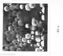 Fig. 07 - Encapsulated polymers and selective activation thereof