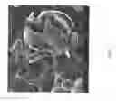 Fig. 08 - Encapsulated polymers and selective activation thereof