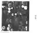 Fig. 09 - Encapsulated polymers and selective activation thereof