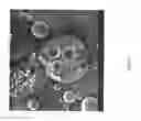 Fig. 10 - Encapsulated polymers and selective activation thereof