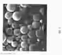 Fig. 11 - Encapsulated polymers and selective activation thereof