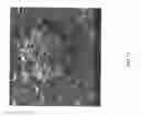 Fig. 14 - Encapsulated polymers and selective activation thereof