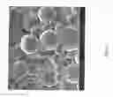 Fig. 15 - Encapsulated polymers and selective activation thereof