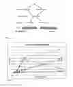 Fig. 02 - METHOD FOR COATING A SOLID SUPPORT