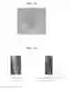 Fig. 09 - Culture medium composition and method of culturing cell or tissue using thereof