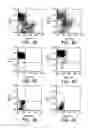 Fig. 07 - Isolation and use of solid tumor stem cells