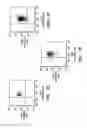 Fig. 09 - Isolation and use of solid tumor stem cells