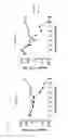 Fig. 06 - Well-tolerated and highly specific tailored recombinase for recombining asymmetric target sites in a plurality of retrovirus strains