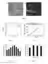 Fig. 02 - Composite of immobilized on modified graphene oxide and its preparation method and application