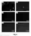 Fig. 11 - Methods for efficient intracellular delivery using anisotropic magnetic particles